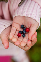 Image showing Child holding berries