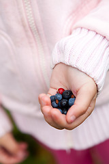 Image showing Child holding berries