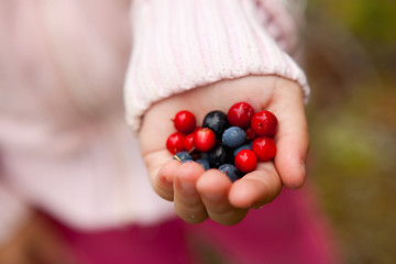 Image showing Child holding berries