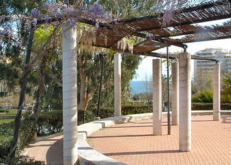 Image showing wisteria growing over apergoda