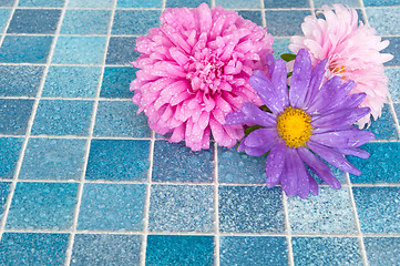 Image showing Flowers in Bathroom