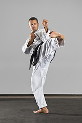 Image showing martial arts master