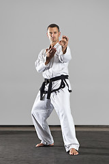 Image showing martial arts master