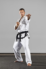 Image showing martial arts master