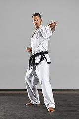 Image showing martial arts master