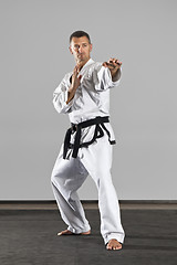 Image showing martial arts master