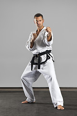 Image showing martial arts master