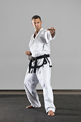 Image showing martial arts master