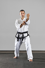 Image showing martial arts master