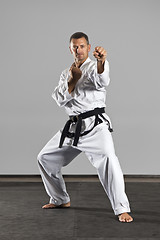 Image showing martial arts master