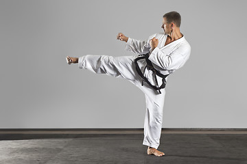 Image showing martial arts master