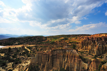 Image showing Soil forest