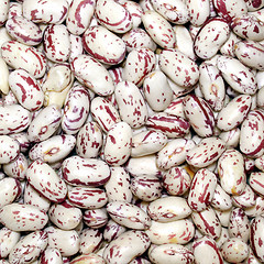 Image showing Beans salad