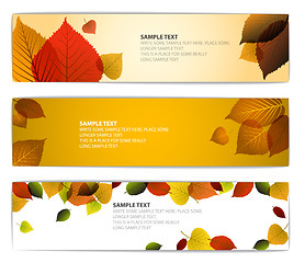 Image showing Fresh natural fall vector horizontal banners with leafs 