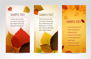 Image showing Fresh natural fall vector vertical banners with leafs 
