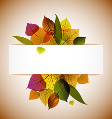Image showing Autumn leafs abstract background 