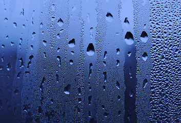 Image showing water drops on glass