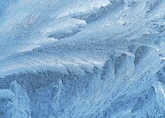 Image showing frost