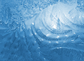 Image showing winter glass