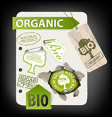 Image showing Set of bio, eco, organic elements