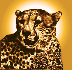 Image showing Isolated Cheetah face drawing in gold brown gradient colors