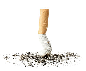 Image showing Cigarette butt