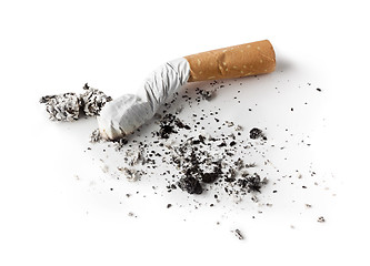 Image showing Cigarette butt