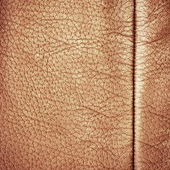 Image showing Brown leather