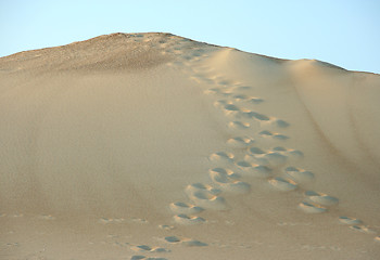 Image showing sand dune