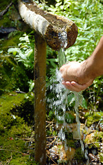 Image showing Washing hands