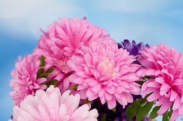 Image showing Dahlia Flowers 