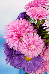 Image showing Dahlia Flowers