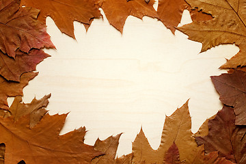 Image showing autumn background