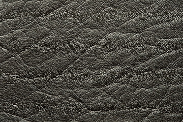 Image showing black leather