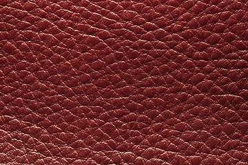 Image showing red leather