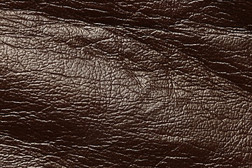 Image showing brown leather