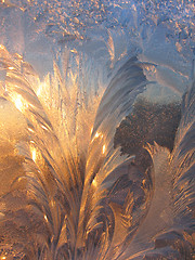 Image showing ice pattern and sunlight