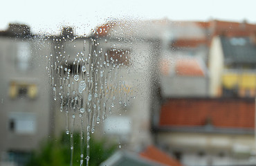 Image showing Window glass cleaning