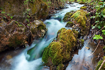 Image showing Forest waterfall