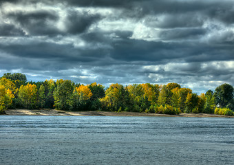 Image showing Autumn forest.