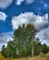 Image showing Autumn landscape.