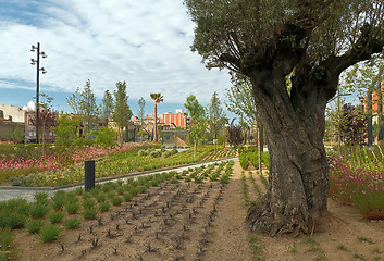 Image showing Badalona Pompeu Fabra Gardens