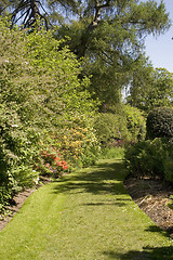 Image showing Garden Path 1