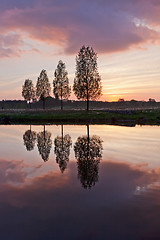 Image showing Leafless tree near lake on sunset