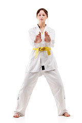 Image showing young sexy women in a karate pose