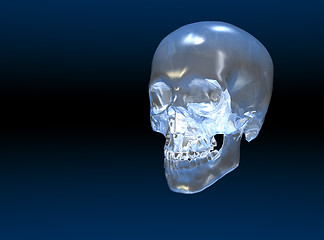 Image showing Crystal skull