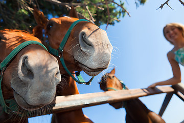 Image showing horse and blond girl in paddock on summers