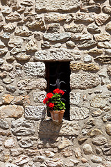 Image showing Window in an old wall with flower