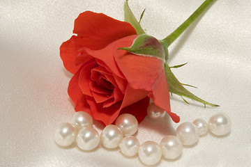Image showing Rose and pearls