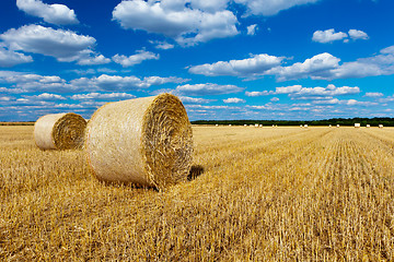 Image showing straw bales in a field with blue and white sky